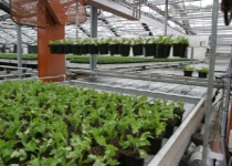 Hochleistungslichtschranken von Dietz Sensortechnik für Förderanlagen